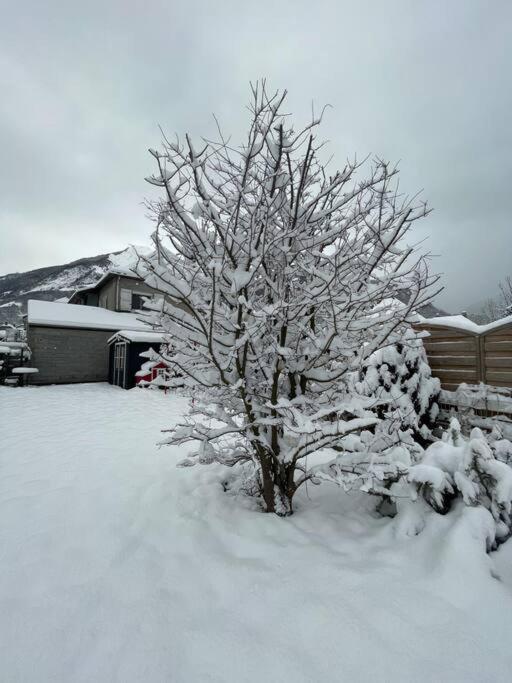 Bel Appartement Dans Residence Cheminee /Jardin Luz-Saint-Sauveur Exteriör bild